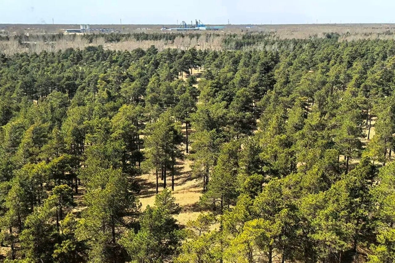 Deșertul taklamakan, noua „plămân” a planetei: Absoarbe co₂
