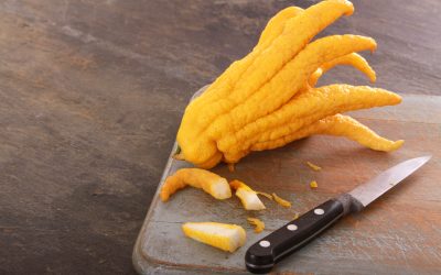 Citricele, cheia stării de bine? Un nou studiu arată cum aromele influențează emoțiile Un studiu recent realizat de Universitatea Zhejiang din China a scos la iveală modul în care aromele specifice citricelor, precum portocalele sau grepfrutul, pot regla starea de spirit