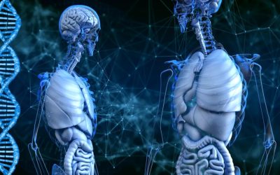 Compania R3 Bio, acuzată că dezvoltă clone umane pentru transfer de creier Start-up-ul R3 Bio este subiectul unor acuzații grave, potrivit cărora ar lucra la crearea de clone umane fără creier, cu scopul de a permite transferul creierului unor indivizi bolnavi sau în vârstă