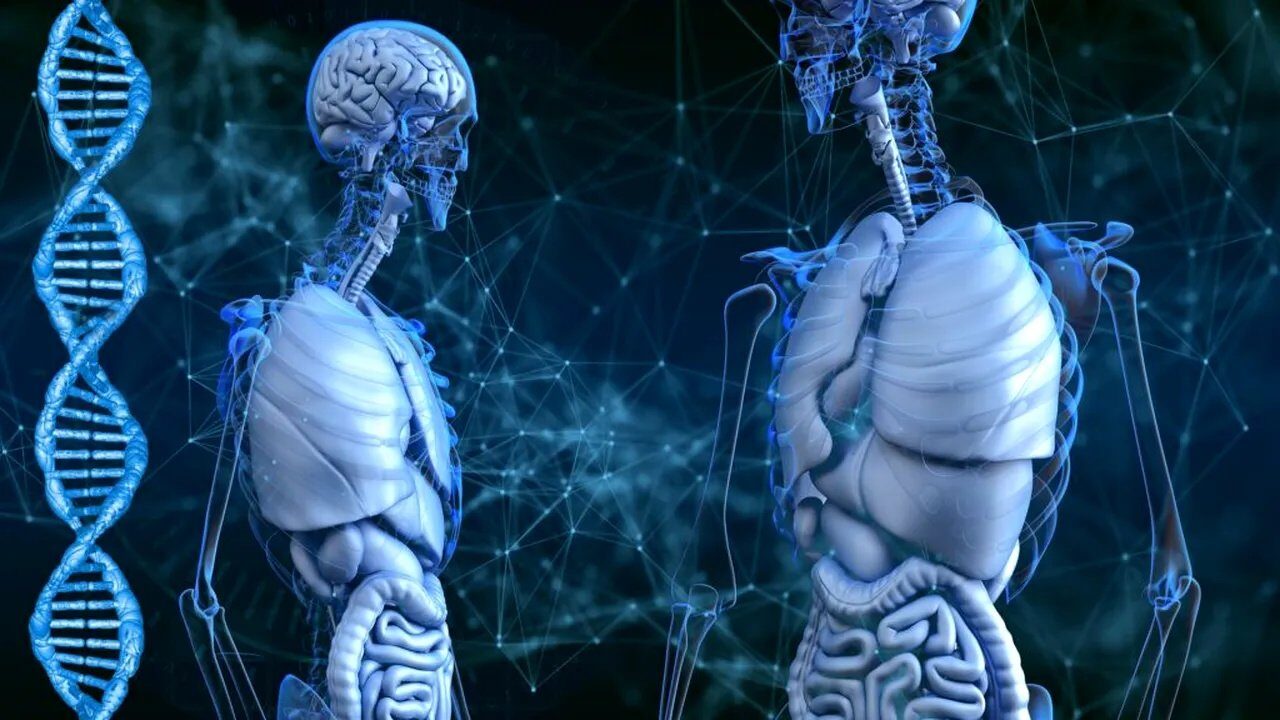 Compania R3 Bio, acuzată că dezvoltă clone umane pentru transfer de creier Start-up-ul R3 Bio este subiectul unor acuzații grave, potrivit cărora ar lucra la crearea de clone umane fără creier, cu scopul de a permite transferul creierului unor indivizi bolnavi sau în vârstă