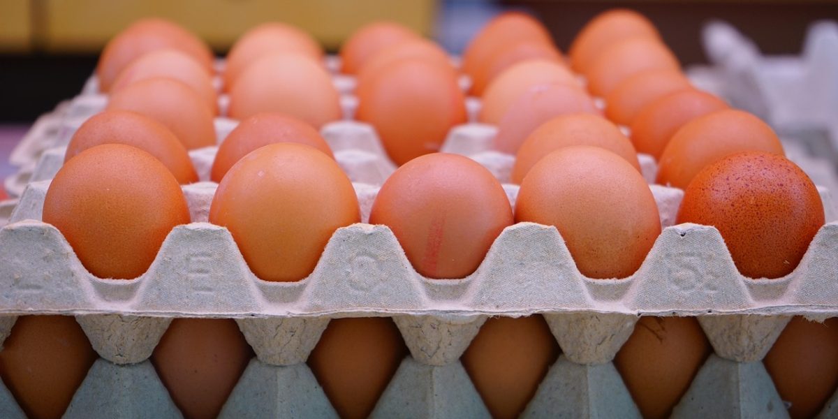 Ouă cu Salmonella: 1,5 milioane de bucăți, retrase de la raft în România