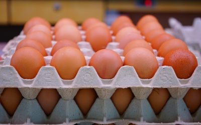 Ouă cu Salmonella: 1,5 milioane de bucăți, retrase de la raft în România