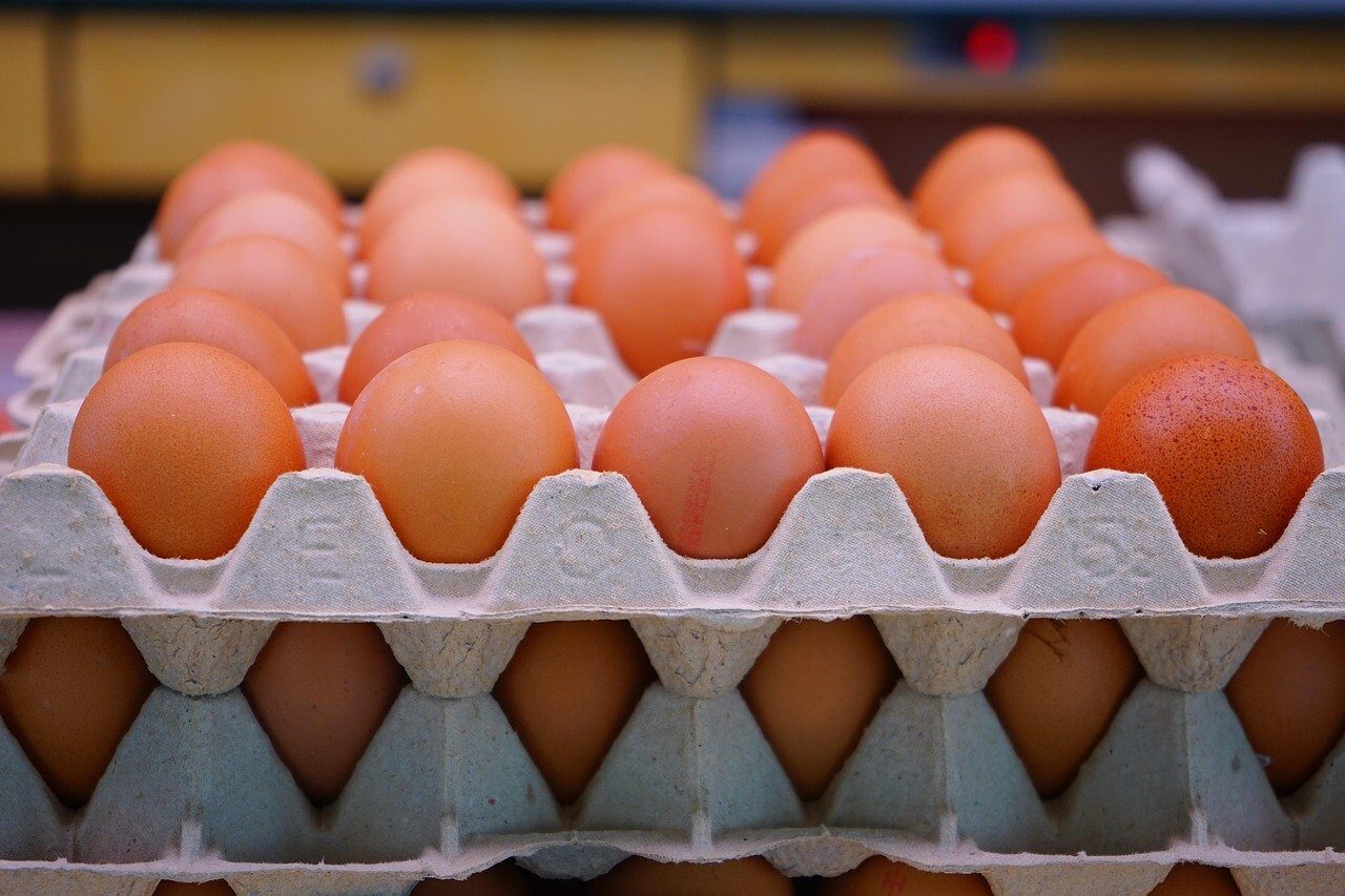 Ouă cu Salmonella: 1,5 milioane de bucăți, retrase de la raft în România