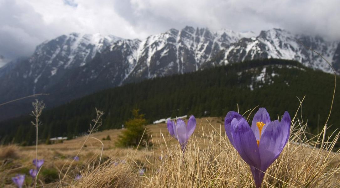 Ger puternic de Paște peste România: Sărbătorile, sub zodia frigului