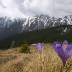 Ger puternic de Paște peste România: Sărbătorile, sub zodia frigului