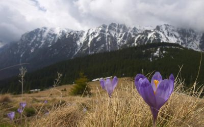 Ger puternic de Paște peste România: Sărbătorile, sub zodia frigului