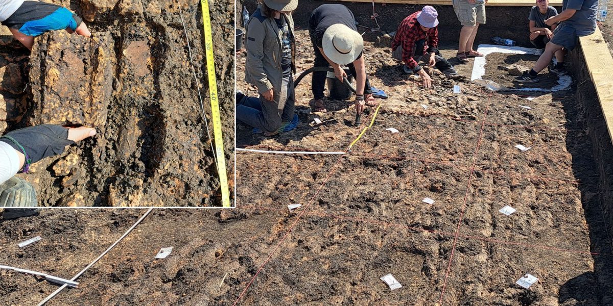 Arheologii din România și Germania, descoperiri epocale la Cucuteni