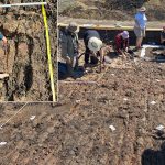 Arheologii din România și Germania, descoperiri epocale la Cucuteni