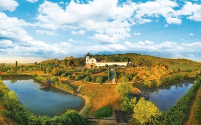 Purcari preia SERVE: Ce implică tranzacția pentru afaceri