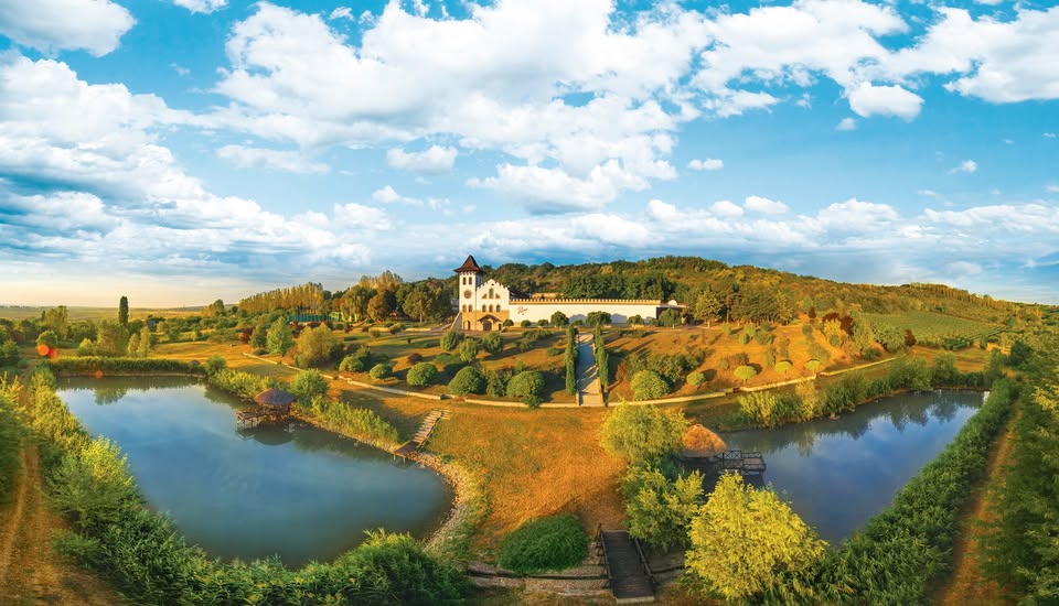 Purcari preia SERVE: Ce implică tranzacția pentru afaceri