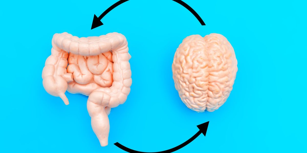 Mâncarea din copilărie îți „reprogramează” creierul: Studiu șocant