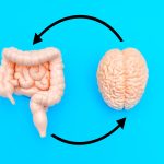 Mâncarea din copilărie îți „reprogramează” creierul: Studiu șocant