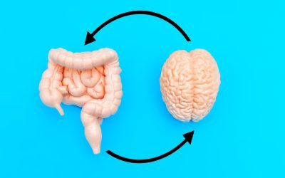 Mâncarea din copilărie îți „reprogramează” creierul: Studiu șocant