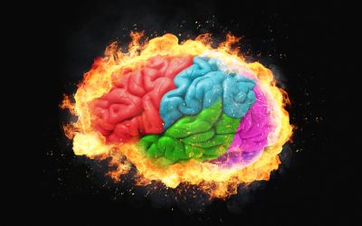 Creierul adolescentin: mitul „neformat” și adevărul din spatele dezvoltării București – Ideea că adolescenții nu sunt pe deplin „formați” din punct de vedere neurologic, din cauza unui lob frontal incomplet dezvoltat, este o concepție larg răspândită, dar profund simplificată