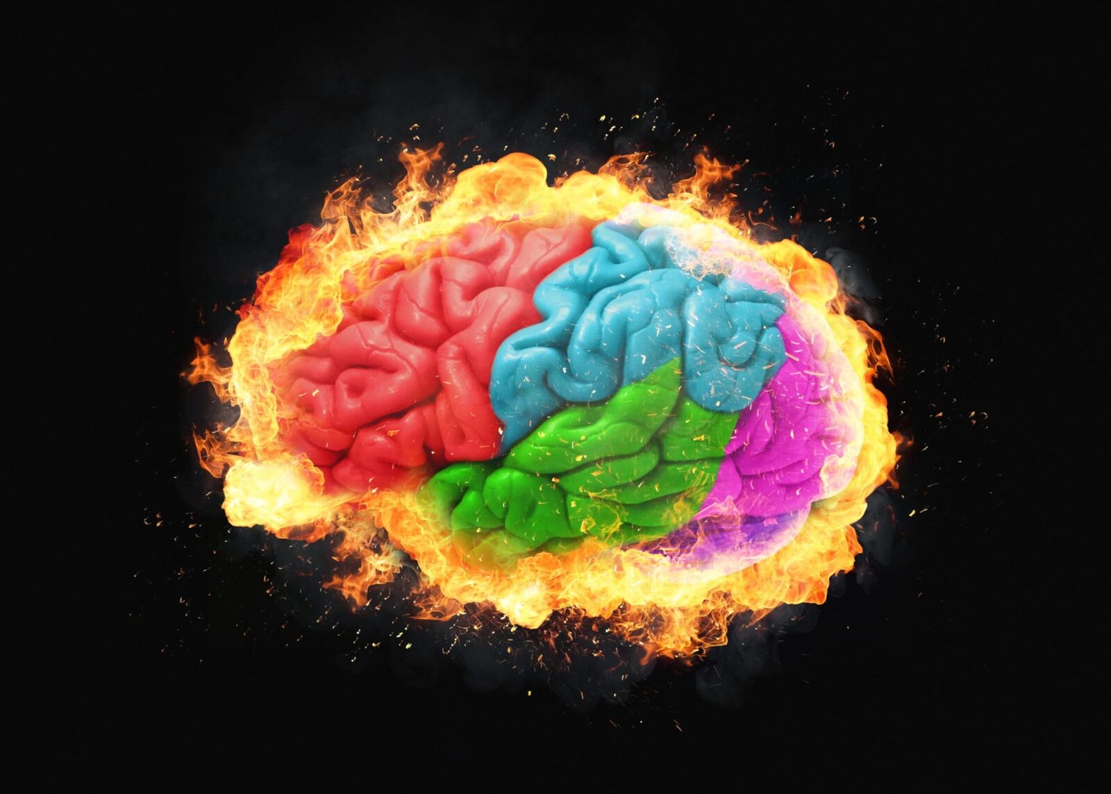 Creierul adolescentin: mitul „neformat” și adevărul din spatele dezvoltării București – Ideea că adolescenții nu sunt pe deplin „formați” din punct de vedere neurologic, din cauza unui lob frontal incomplet dezvoltat, este o concepție larg răspândită, dar profund simplificată
