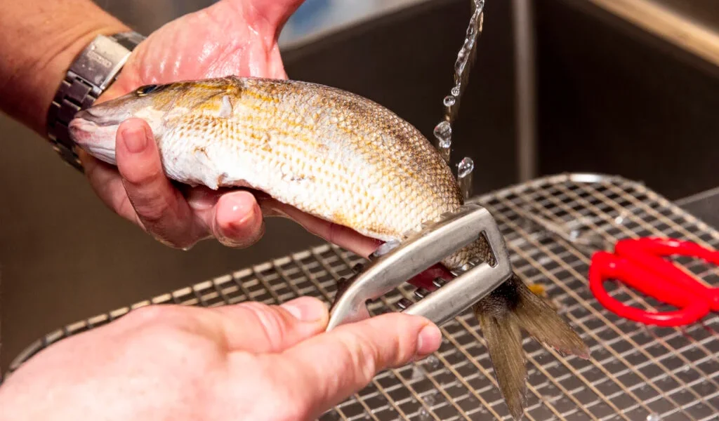Curățarea peștelui poate fi o corvoadă, dar cu tehnica și ustensilele potrivite, procesul devine mai rapid și mai eficient