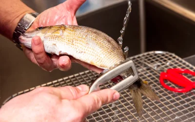 Curățarea peștelui poate fi o corvoadă, dar cu tehnica și ustensilele potrivite, procesul devine mai rapid și mai eficient