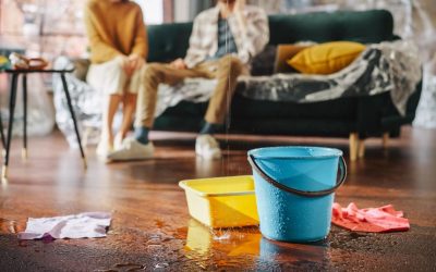 De ce refuză românii să-și asigure casele: Prevenție vs. Realitate greu de acceptat