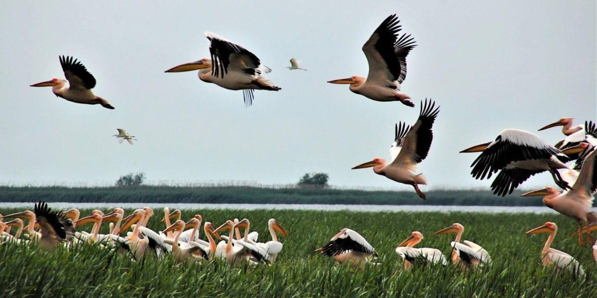 Situație critică: Un expert trage semnalul de alarmă pentru România