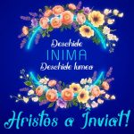 PRO TV, lider de audiență de Paște: Românii au ales postul!