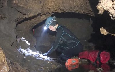 Capsulă glacială dezvăluie animale uriașe dispărute