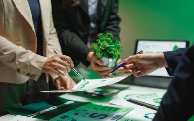 Meseria unică în Europa: România face ce nu poate nimeni!