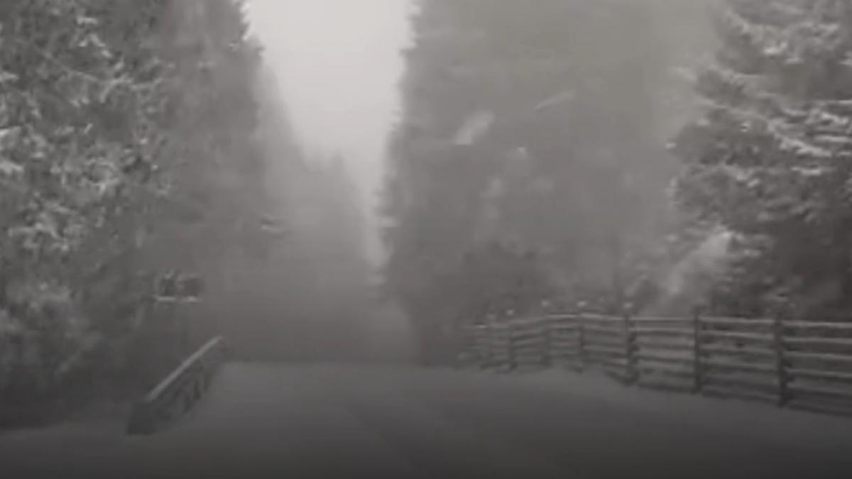 Dimineață geroasă în România, cu ninsori și temperaturi de iarnă înaintea sărbătorilor pascale