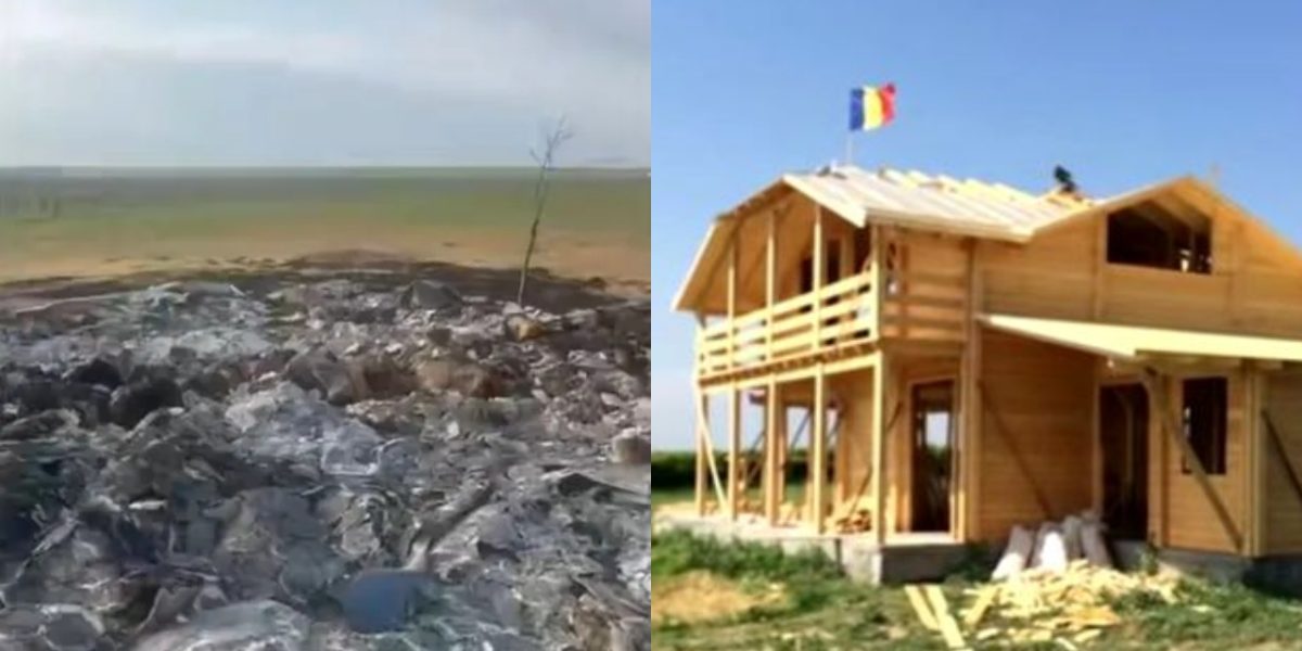 A ars 20 de hectare de vie, apoi a urmat… IMAGINI ȘOCANTE