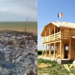 A ars 20 de hectare de vie, apoi a urmat… IMAGINI ȘOCANTE