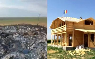 A ars 20 de hectare de vie, apoi a urmat… IMAGINI ȘOCANTE