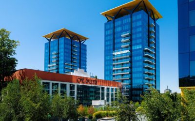 Branduri românești în imobiliare: De la cărămizi la experiențe unice pentru clienți