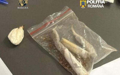 Doi Bărbați Reținuți la Cluj pentru Trafic de Droguri de Mare Risc Procurorii DIICOT din Cluj au reținut doi bărbați, cu vârstele de 43 și 49 de ani, acuzați de trafic de droguri de mare risc