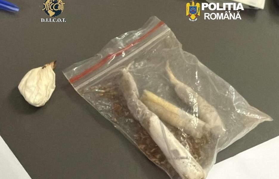 Doi Bărbați Reținuți la Cluj pentru Trafic de Droguri de Mare Risc Procurorii DIICOT din Cluj au reținut doi bărbați, cu vârstele de 43 și 49 de ani, acuzați de trafic de droguri de mare risc