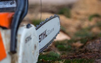 Bărbat din Alba, UCIS de drujbă: Dosar pentru ucidere din culpă