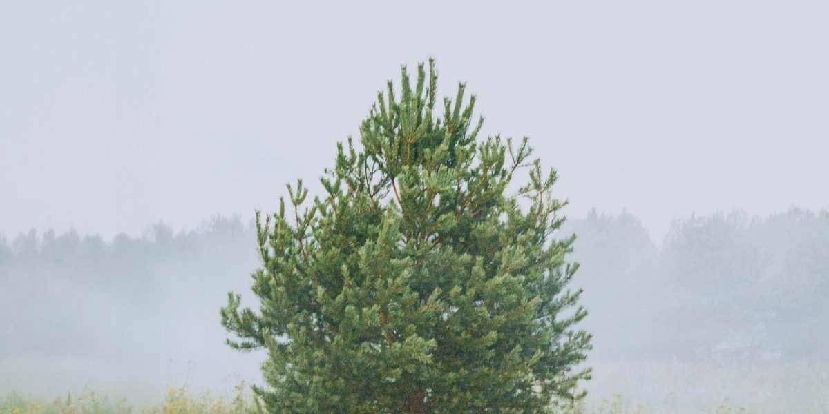 Vremea în Mid-Michigan: Prognoza pentru 17 Aprilie, cu date cruciale