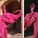 Moartea șocantă a elefantului indian Chanchal: Ședința foto fatală din India