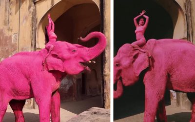 Moartea șocantă a elefantului indian Chanchal: Ședința foto fatală din India