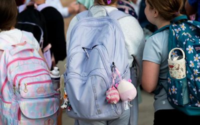 Elevii intră în vacanța de primăvară vineri, după finalizarea cursurilor, urmând să revină la școală pe 15 aprilie, conform calendarului școlar aprobat de Ministerul Educației și Cercetării