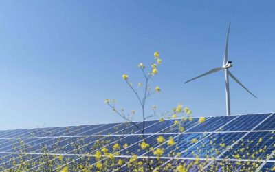 Polonia: Prețurile la energie electrică au coborât sub zero din cauza producției record din surse regenerabile Prețurile energiei electrice în Polonia au atins valori negative pentru o parte dintre consumatori, pe fondul unei producții record din surse eoliene și solare care a depășit cererea