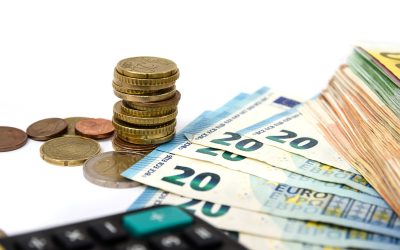 Bugetul României, lovit de tăieri: Subvențiile scad drastic din 2026