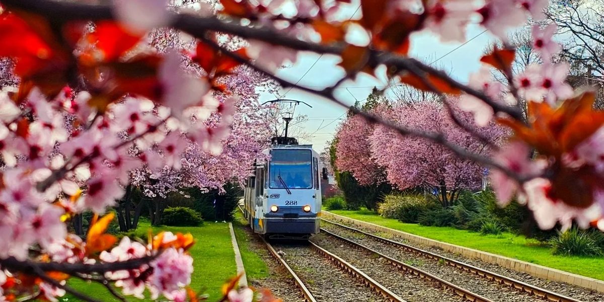 Capitala ferventează de evenimente culturale în aprilie 2026, cu festivaluri de teatru, expoziții de artă și concerte care promit să satisfacă gusturile diverse ale publicului bucureștean