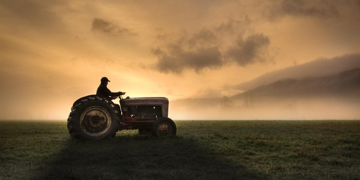 Fermieri, strigăt de alarmă: Guvern și UE, stop crizei în agricultură