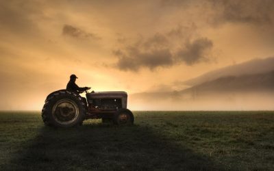 Fermieri, strigăt de alarmă: Guvern și UE, stop crizei în agricultură