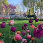 Vremea: Soare generos în România pe 15 aprilie, fără surprize