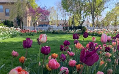 Vremea: Soare generos în România pe 15 aprilie, fără surprize