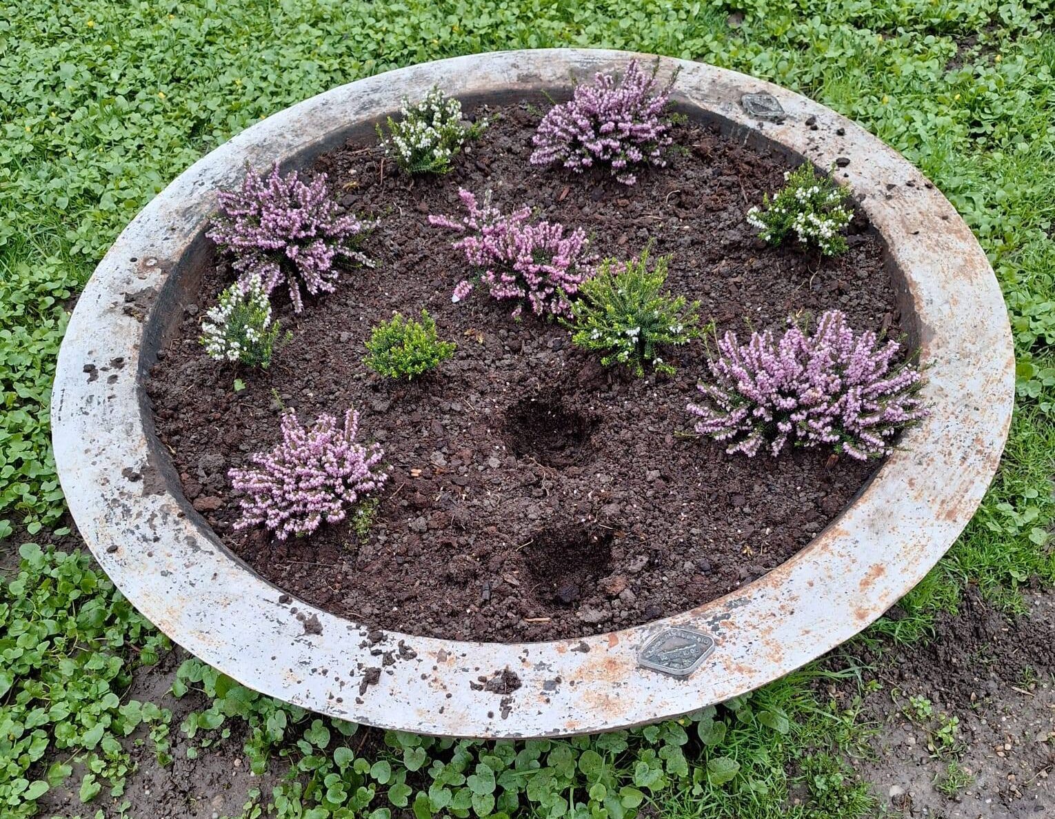 Poliția Locală, la datorie: Chișmigiu și florile, sub pază