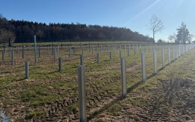 Românii de la Parapet construiesc un parc fotovoltaic în Germania