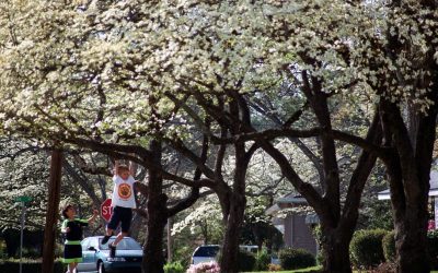 După o lună februarie neobișnuit de rece, regiunea Cape Fear din SUA a avut parte de o lună martie extrem de caldă și uscată, ceea ce a dus la o creștere a îngrijorărilor legate de secetă, conform informațiilor publicate de un corespondent local