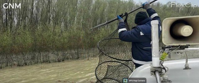 Garda de Mediu, acțiune amplă împotriva braconajului piscicol: 6 kilometri de plase ilegale confiscate Garda Națională de Mediu a desfășurat o amplă acțiune de combatere a braconajului piscicol în ultimele două săptămâni, rezultatele fiind consistente