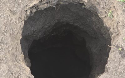 Groapă misterioasă în Neamț: Emană clor și are 10 metri adâncime